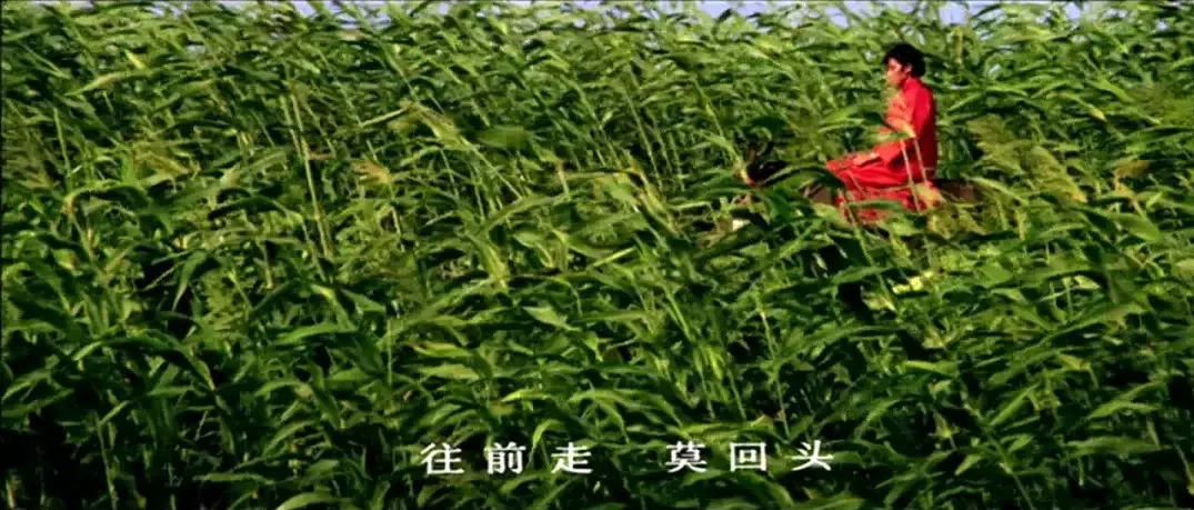 所谓爱情就是奋不顾身,所谓爱情就是一场执念