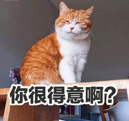 第一次去意大利攻略,意大利攻略