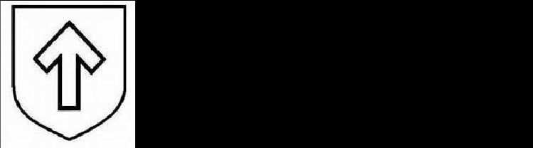 二战德国*党**卫军45个作战师的名称标志的由来以及他们之间的区别