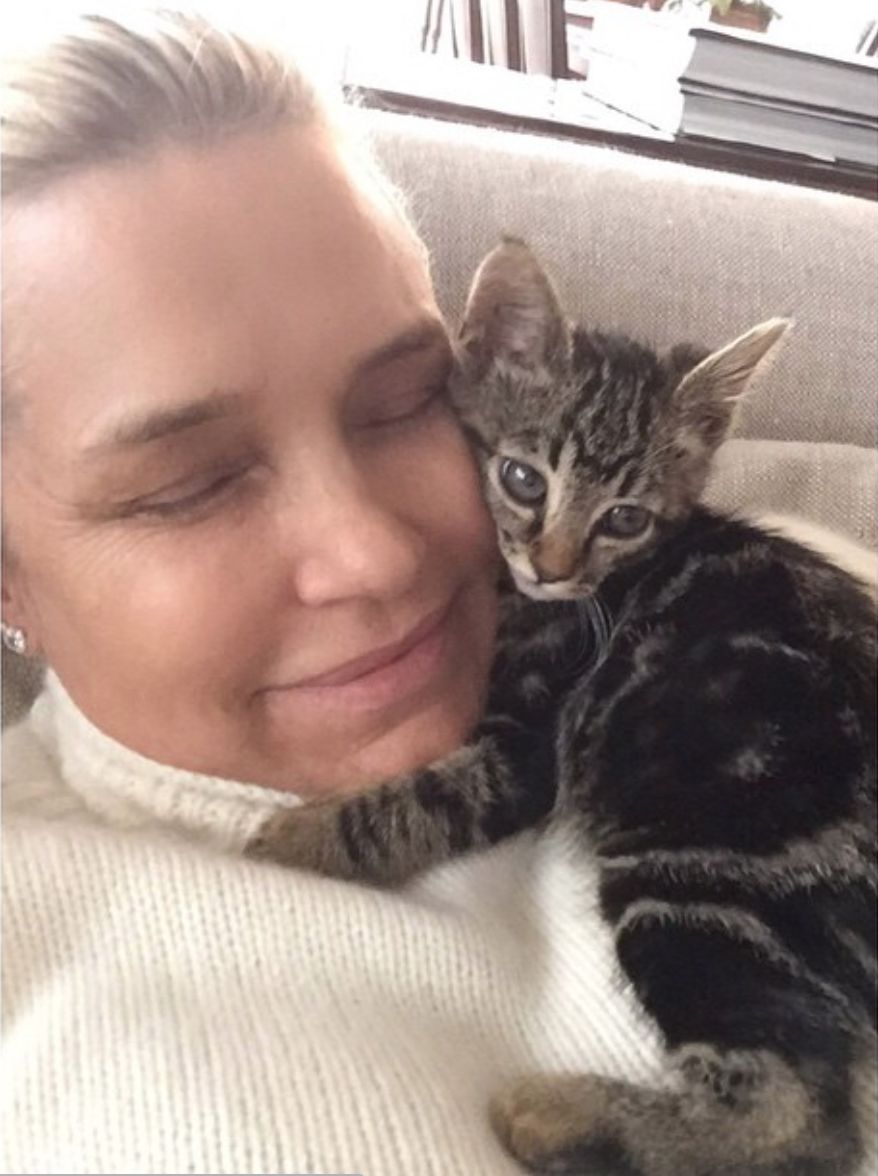 维密超模猫咪,维密秀猫咪