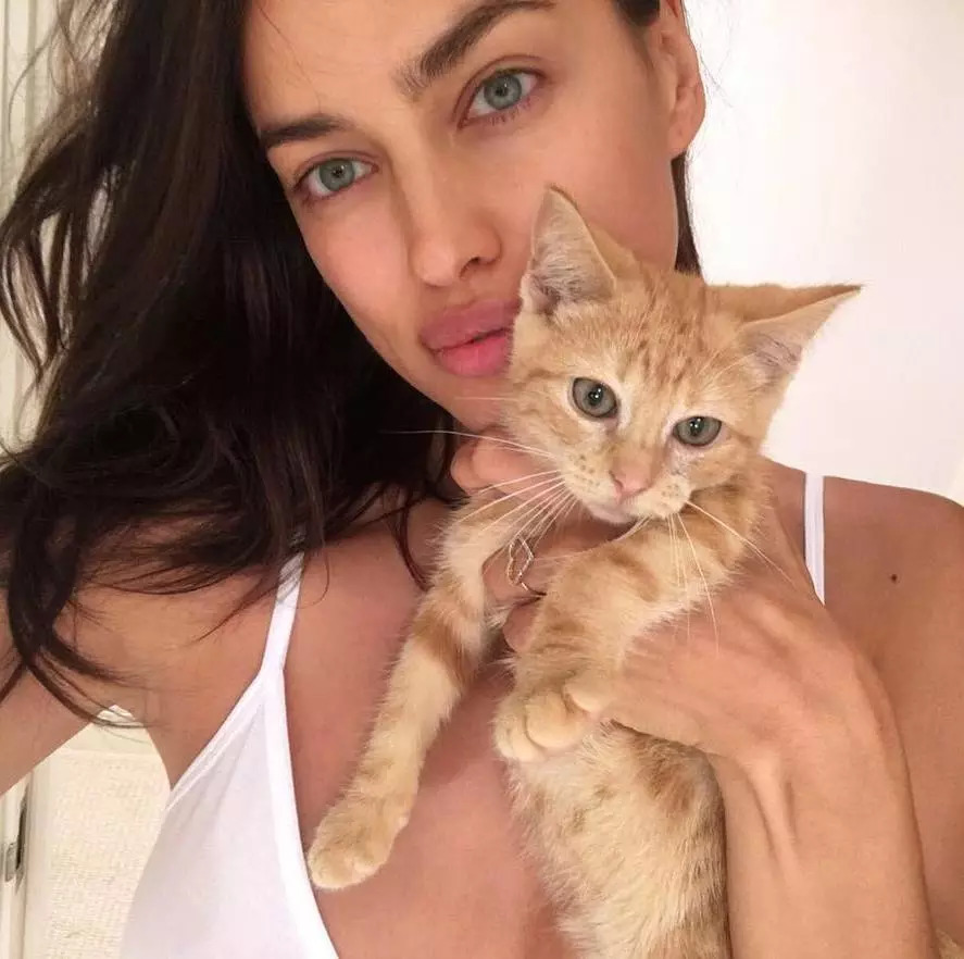 维密超模猫咪,维密秀猫咪