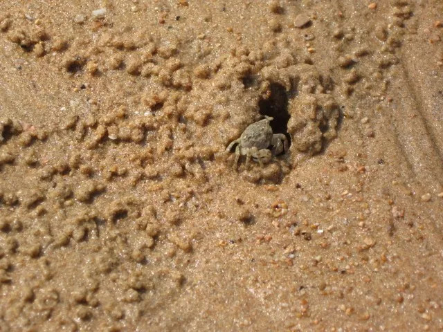 霞浦最值得去的岛,霞浦必去的几个岛屿