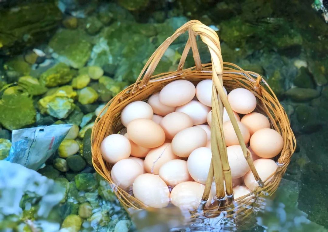 「教师节」木格措免门票，观光车5折、游船票5折！