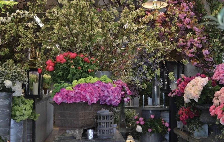 世界上最好的小花店,文艺复古小花店