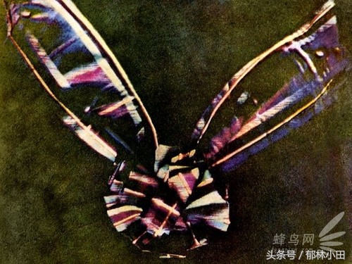 相机的发展历史,照相机历程