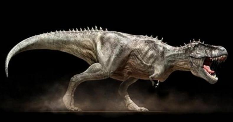 恐龙为什么如此巨大,恐龙为什么能长那么大的原因