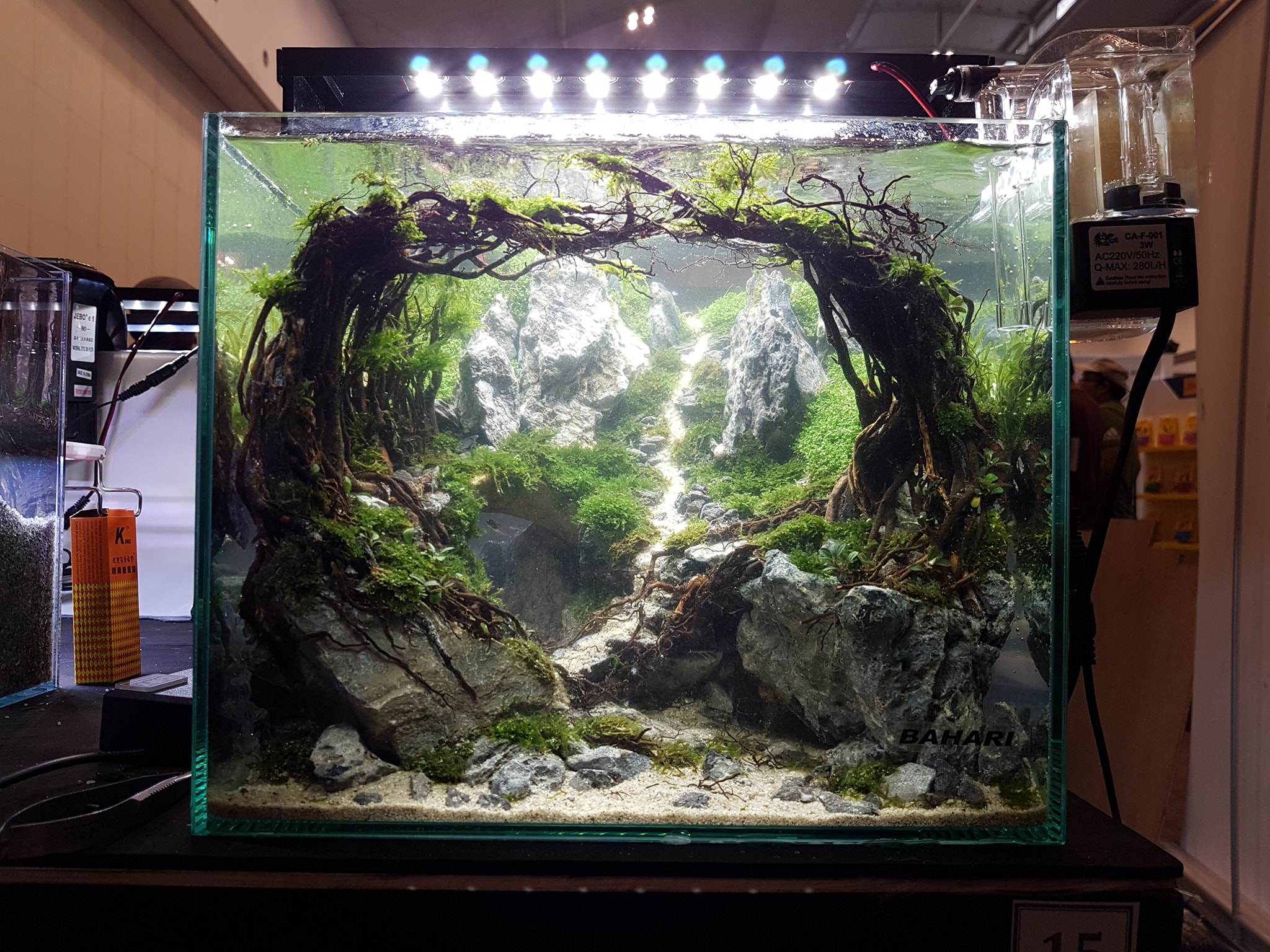 十大草缸经典造型,草缸的100种造型