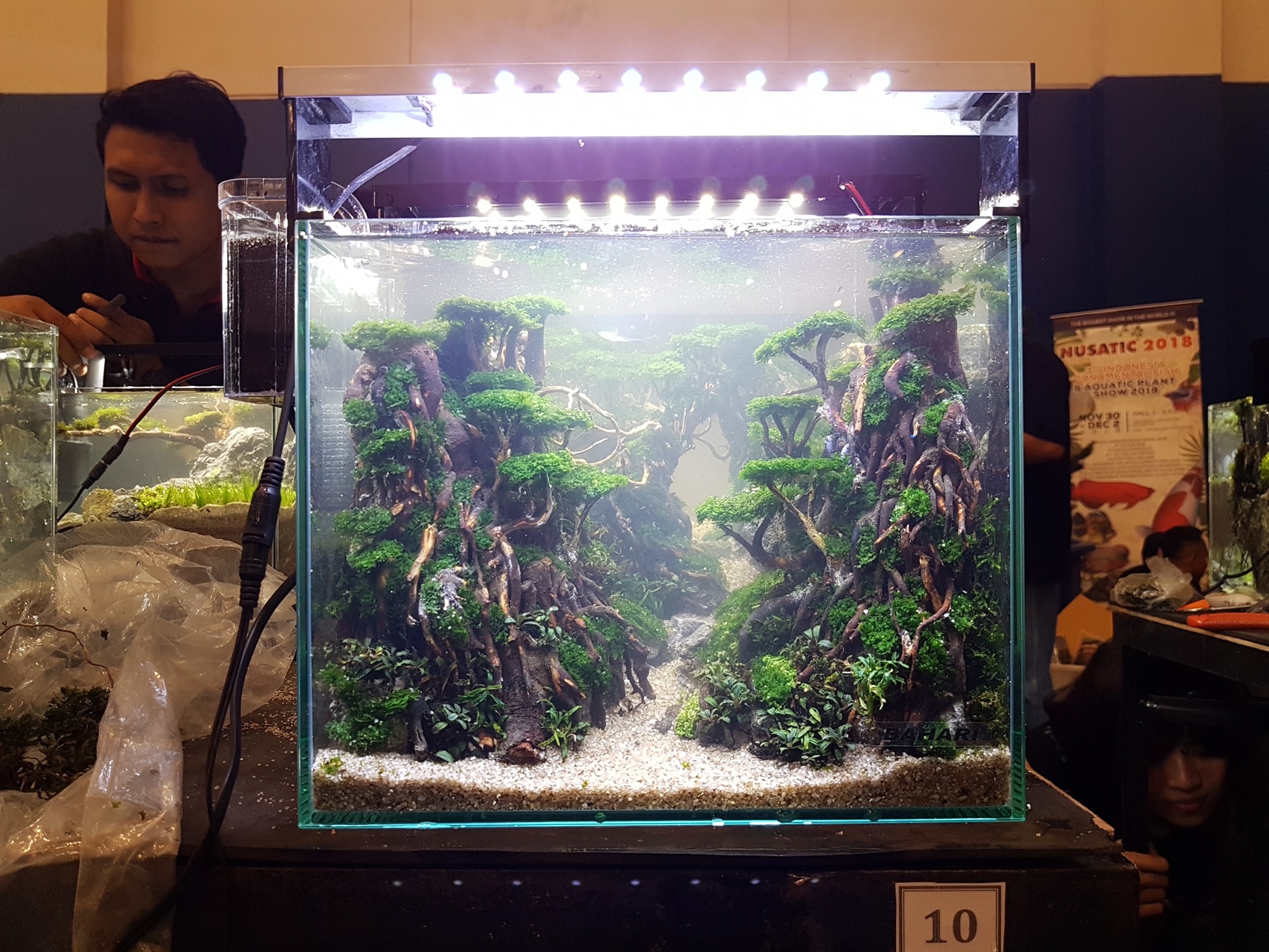 十大草缸经典造型,草缸的100种造型