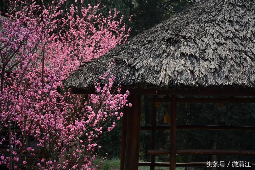 于城市后花园遇见生活美学石象湖景区美skr人！