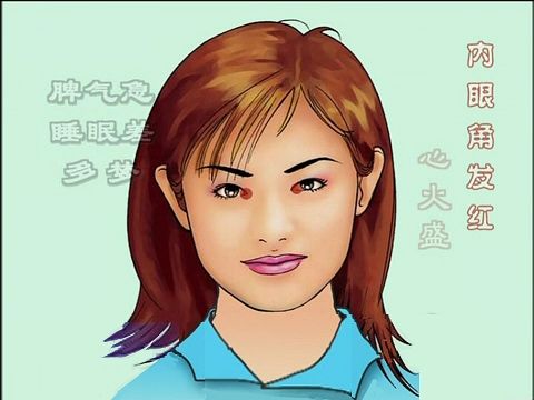 中基中诊题目,中基中诊理论知识重点