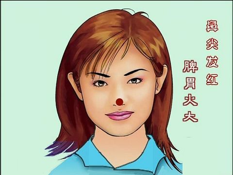 中基中诊题目,中基中诊理论知识重点