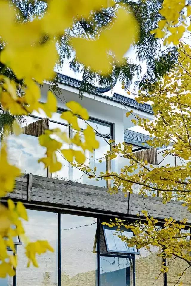 她和发小在500米悬崖边盖了云中小屋，走吧，这次我们一起去看云~