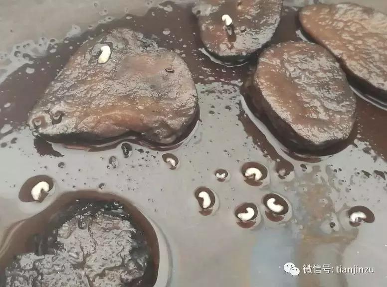 好恶心！天津姐姐在正规药店里抓来中药，竟煮出来了虫子