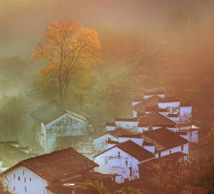 婺源的秋天真美,秋天的婺源什么时候去最美