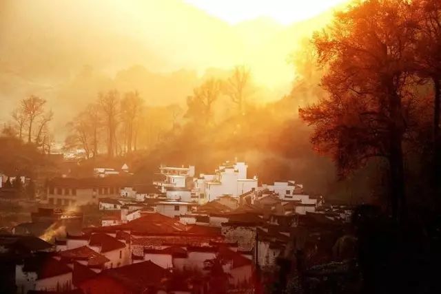 婺源的秋天真美,秋天的婺源什么时候去最美