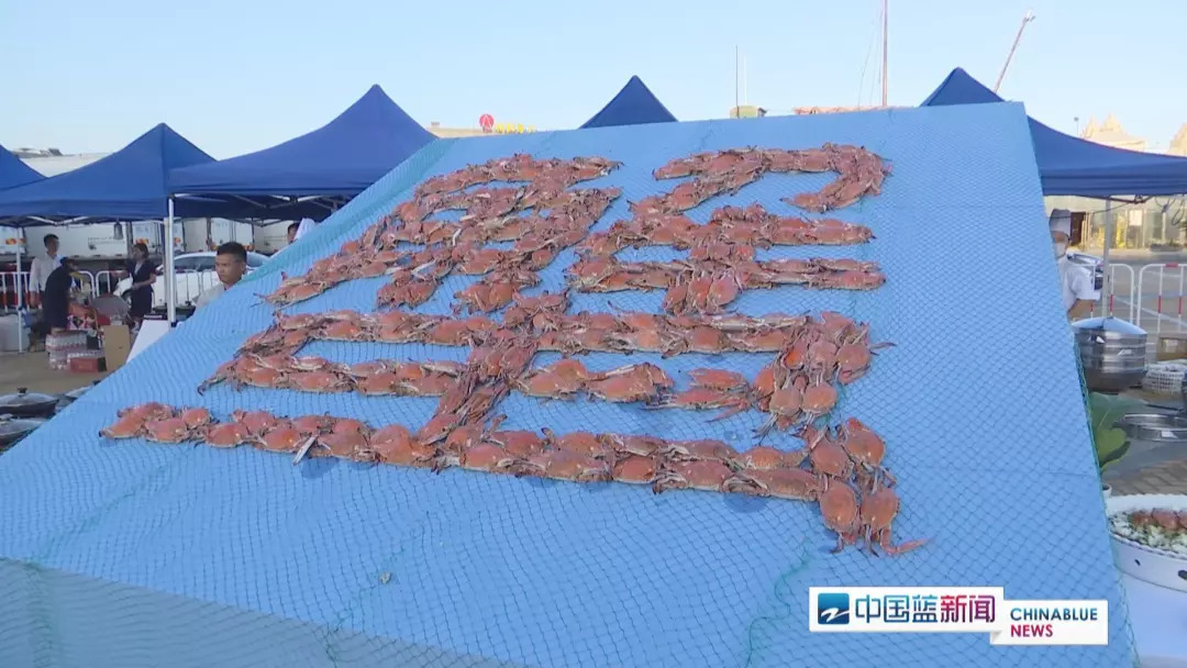 渔港码头海鲜批发市场搬到哪里了,沈家门渔港小镇特色街区