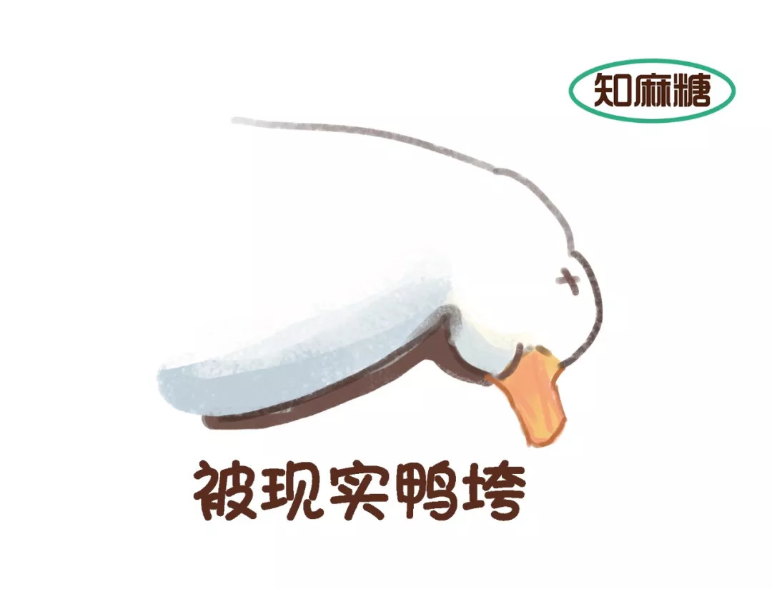 感谢带教老师医生的话简短,感谢带教老师的照顾