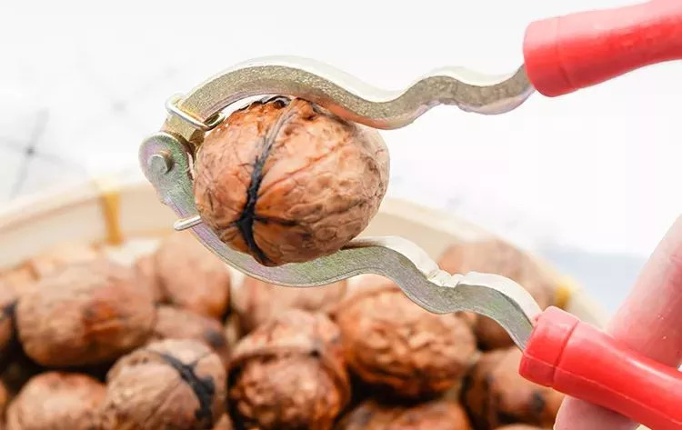此物号称植物界的唐僧肉！补大脑，益心脏还能缓解失眠！