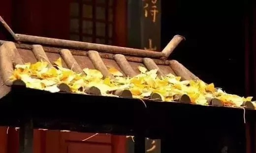 赏秋必去的十个地方地图,北京赏秋十大打卡地