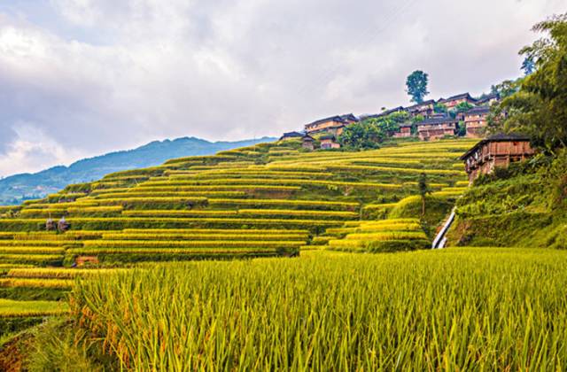 贵州什么季节最合适去旅行,未来三年贵州旅游攻略计划