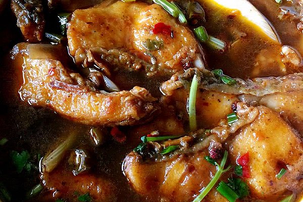 40款鱼的家常做法合集附详细教程,食谱10种草鱼的家常做法