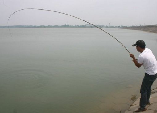 手竿科普小视频,新手手竿入门基本知识