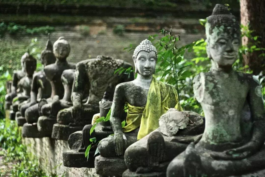 感悟流年的美文,浅吟流年美文