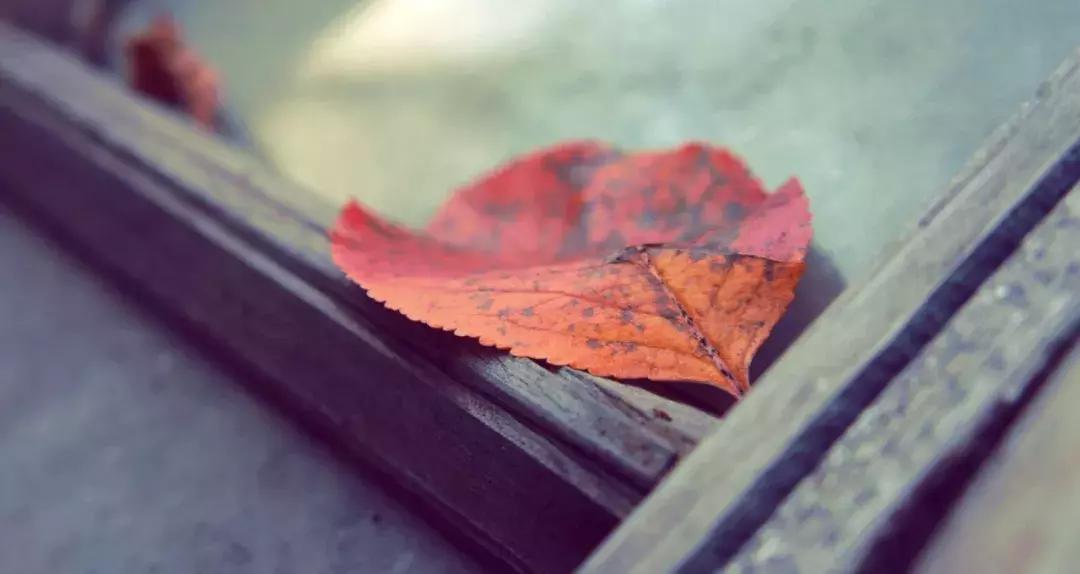 感悟流年的美文,浅吟流年美文