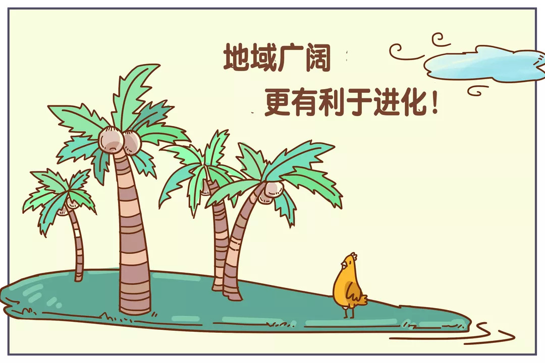 进化论是适者生存吗,适者生存达尔文进化论