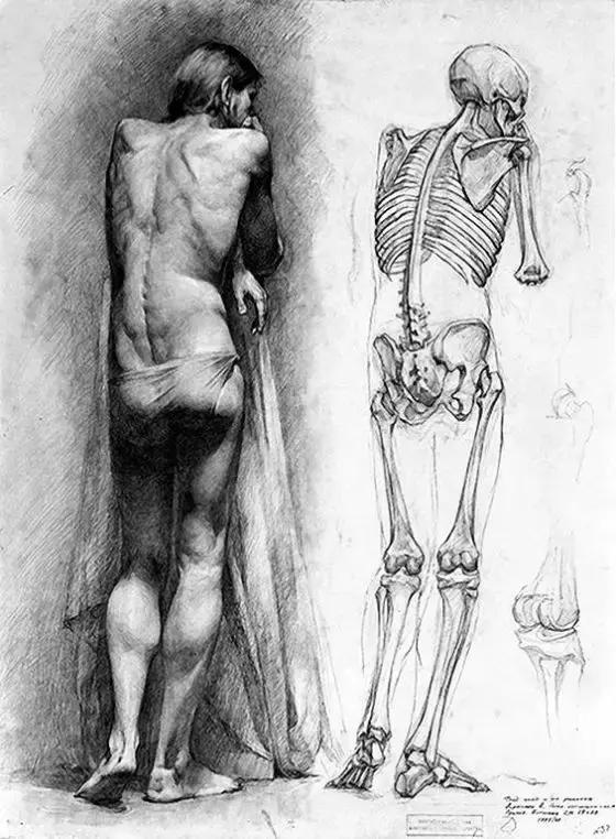 怎样才能画得像一个真人,画好身体不知道怎么画手