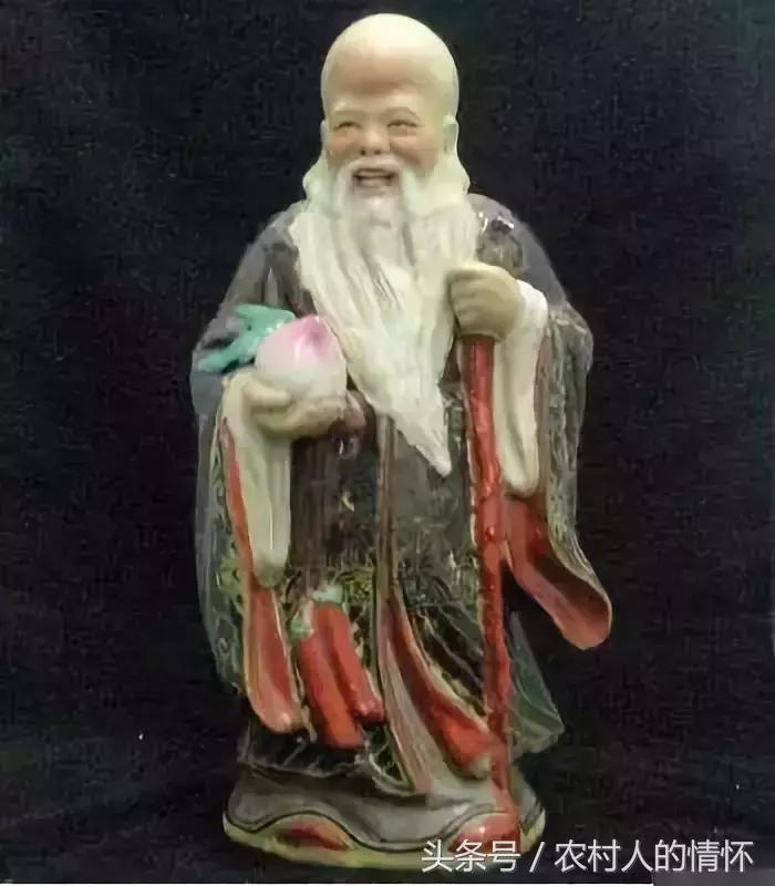 头大的神仙寿星,神仙寿星的照片