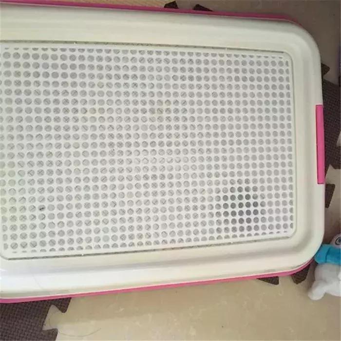 比熊幼犬粪便有虫子,比熊幼犬感染寄生虫怎么办