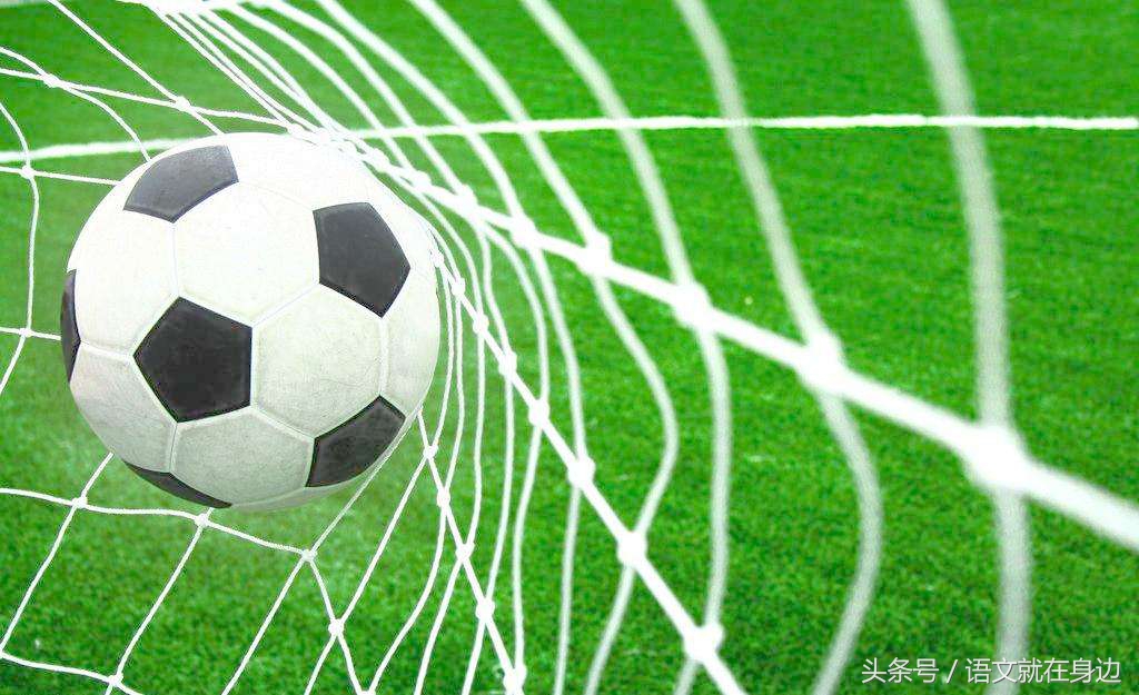 语文就在我身边作文600,语文就在身边作文