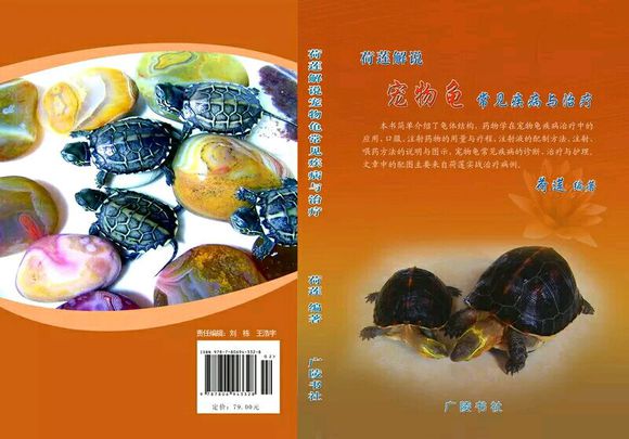 龟不用加热棒怎么给龟加温,龟治病加热棒推荐