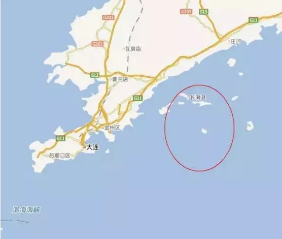 66岁母亲买海参,66岁母亲卖海参