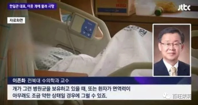 玻尿酸网红殴打孕妇，还请水军洗白？这年头法盲都那么嚣张了吗