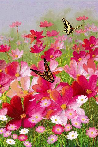 会动的视觉图片14张,会动的图片21张太美了