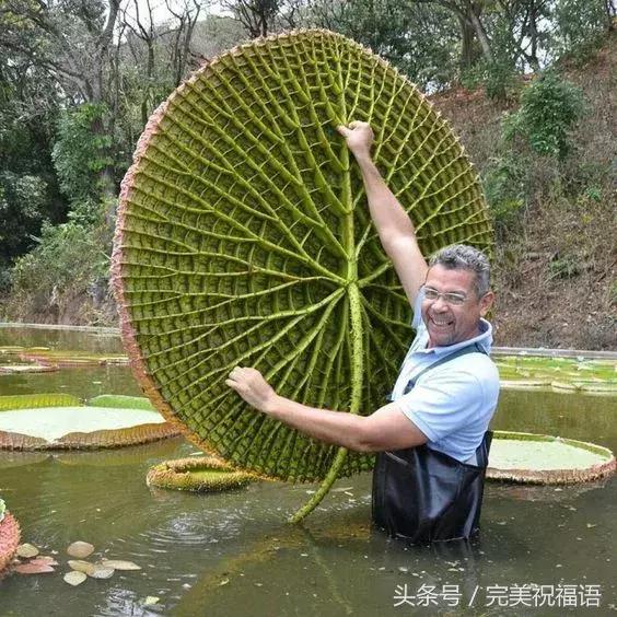 会动的视觉图片14张,会动的图片21张太美了