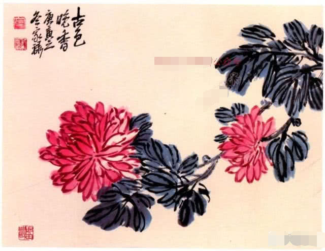 国画小写意菊花花头的画法,菊花国画写意画法视频