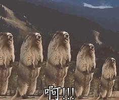 肩宽穿长好看还是肩窄穿衣好看,穿衣服肩宽好看还是肩窄好看