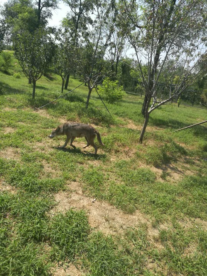 寻秦记旅游,寻秦记自驾旅游