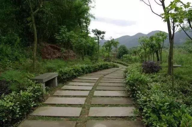 致拼搏奋斗路上莘莘学子,致莘莘学子的图片