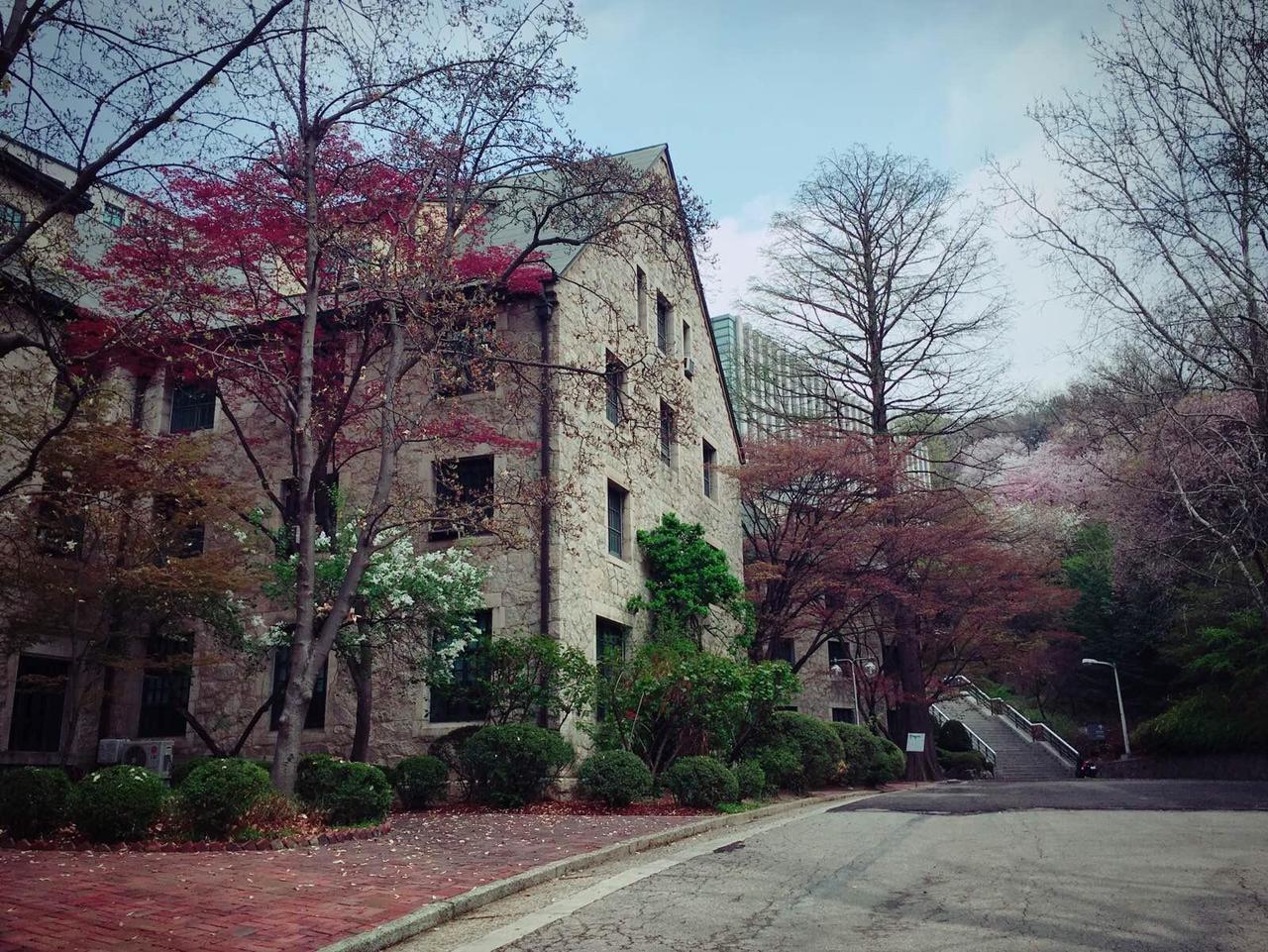 四月天，遇见韩国——逛吃篇