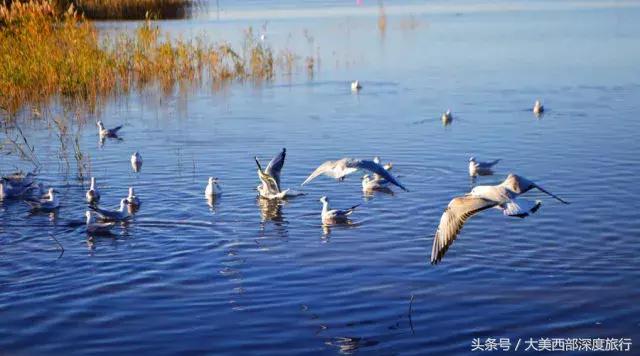 额济纳旗旅游安排时间表,额济纳旗旅行全攻略