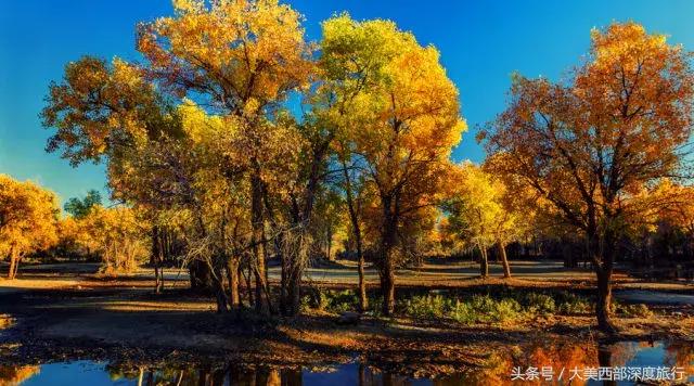 额济纳旗旅游安排时间表,额济纳旗旅行全攻略