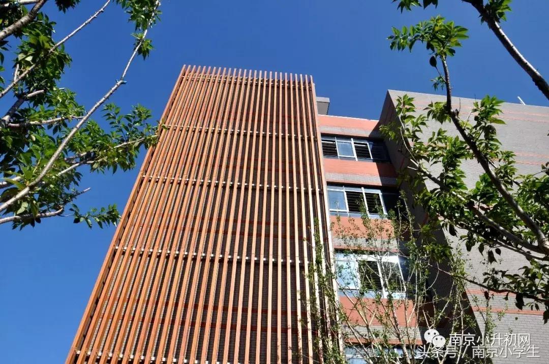 南京有哪些比较好的院校,南京一些好的大学