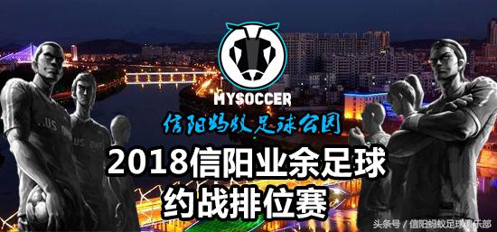 信阳蚂蚁足球比赛视频,信阳蚂蚁足球俱乐部假日足球赛