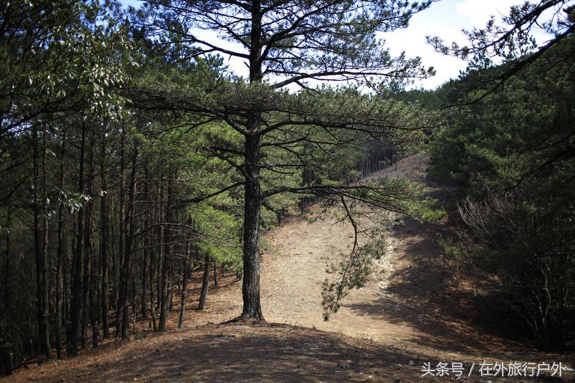 将轻量化进行到底——20L背包的千八雪地露营