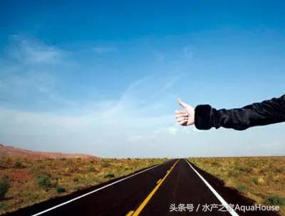 9月18日各地水产品一线报价及简析 (2020年9月水产品市场每日价格)