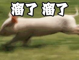 公认最好的游戏主机,目前最流行的游戏主机